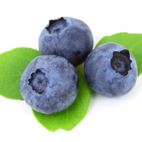 Blueberry E Liquid