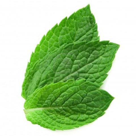 Mint E Liquid